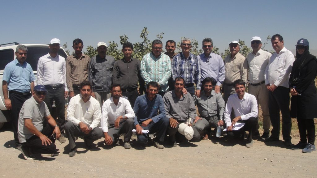 کمیته فنی پسته