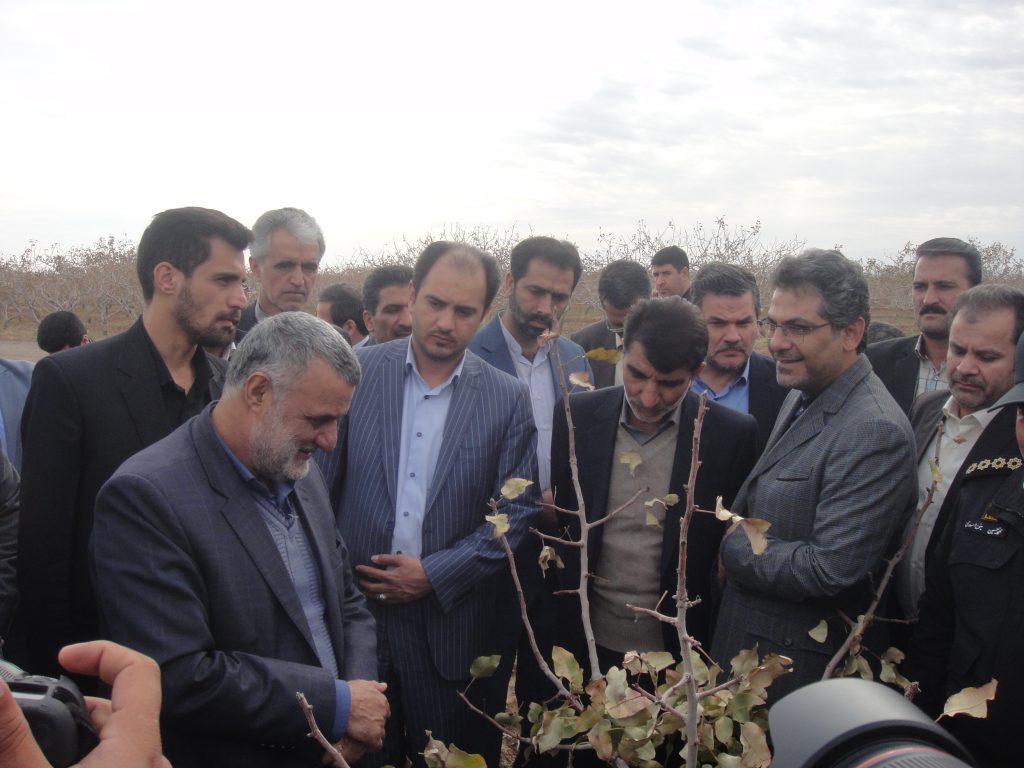 بازدید وزیر محترم جهاد کشاورزی از شرکت کشت و صنعت پیوند خاوران