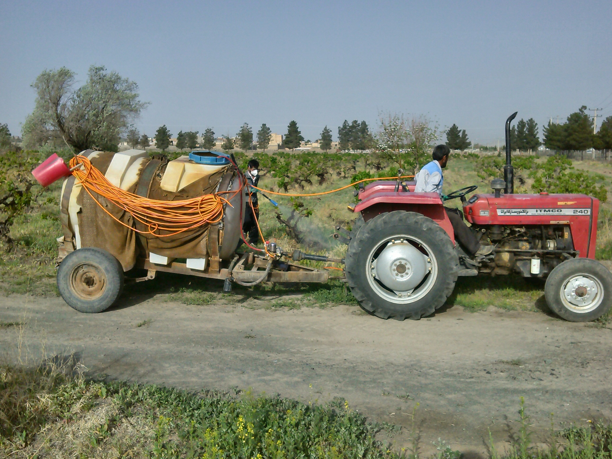 سم پاشی انگور باغ خالق آباد
