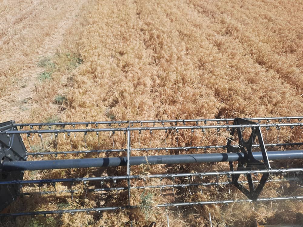 WhatsApp Image 2021-10-09 at 13.29.43