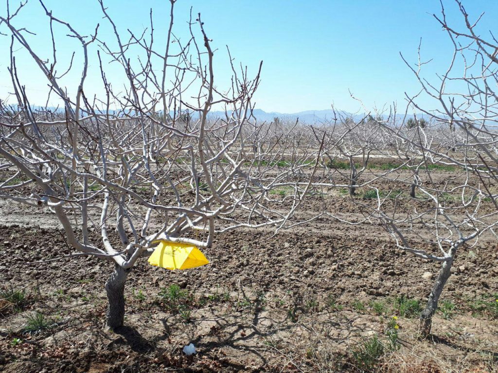 photo_۲۰۱۸-۰۳-۲۵_۱۲-۲۳-۳۳