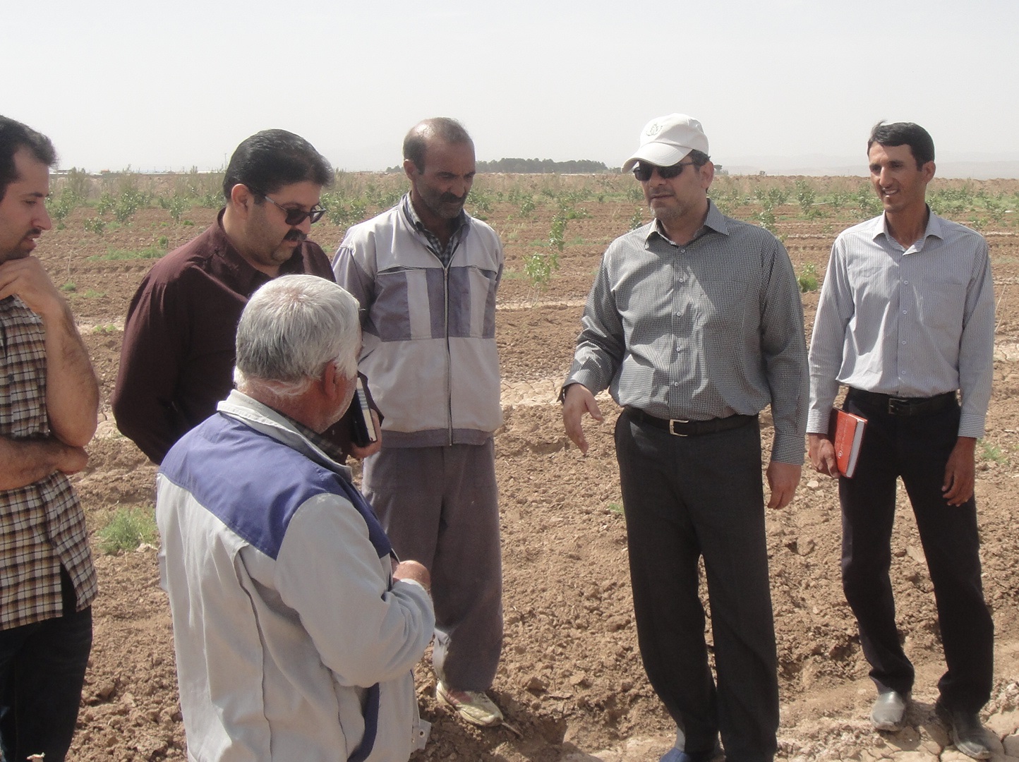 کمیته فنی-۲