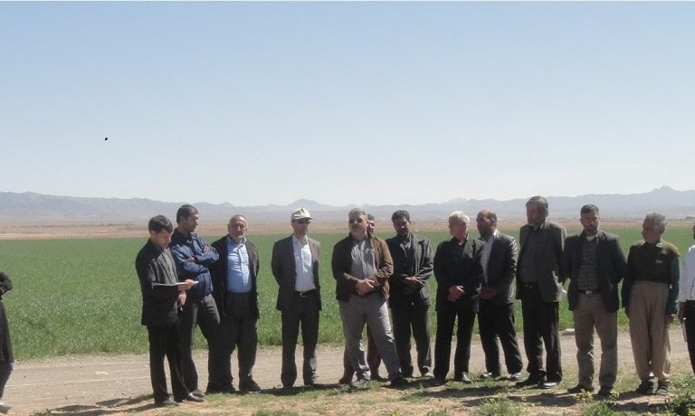 بازدید گندمکاران نمونه استان از شرکت پیوند خاوران