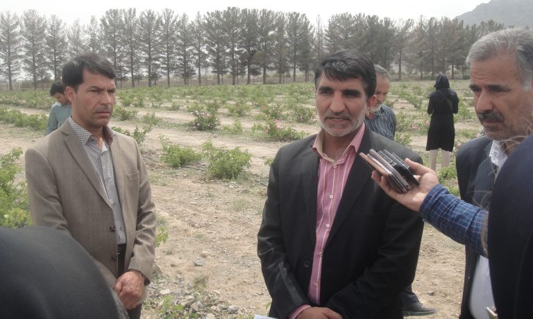 بازدید مسئولین سازمان جهاد کشاورزی و خبرنگاران از باغ گل محمدی شرکت پیوند خاوران
