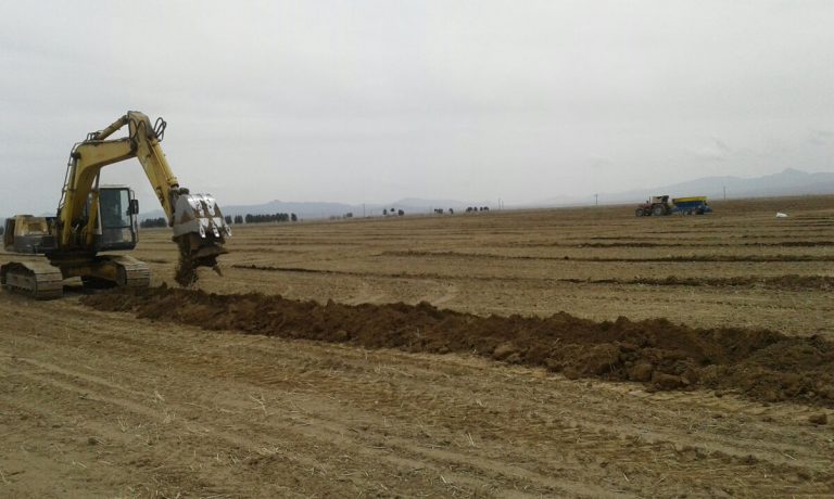 آماده سازی اراضی کاشت پسته طرح ۳۰۰هکتاری در شرکت کشت و صنعت پیوند خاوران