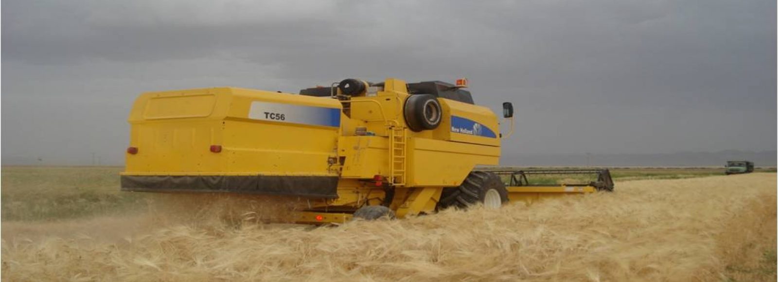 بزرگترین تولید کننده غلات و بذور مادری در استان خراسان جنوبی