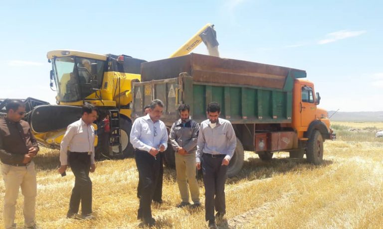 بازدید عضو هیئت مدیره هلدینگ کشاورزی و دامپروری بنیاد مستضعفان از پروژه شترداری و اولین سایت تولید علوفه خارشتر در کشور