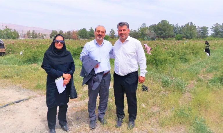 بازدید مدیران بیمه سینا خراسان جنوبی از باغات شرکت کشت و صنعت پیوند خاوران