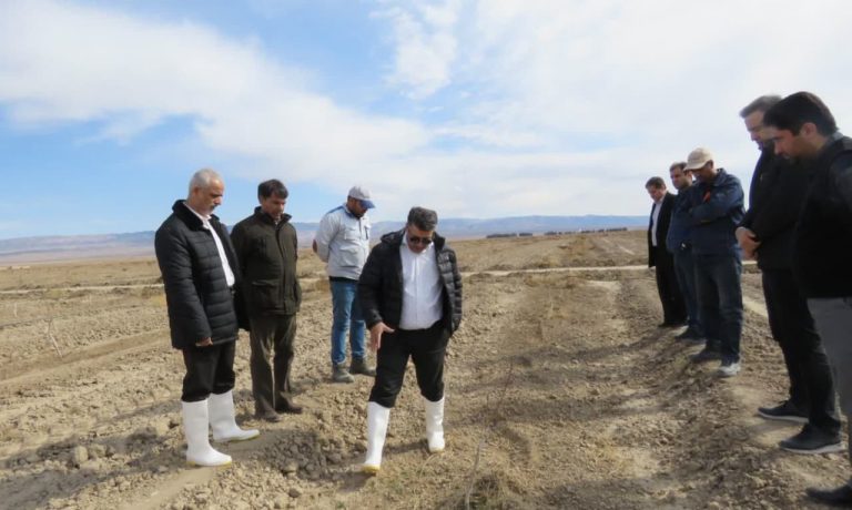 بازدید مدیران ارشد هلدینگ کشاورزی و دامپروری فردوس پارس از شرکت کشت و صنعت پیوند خاوران