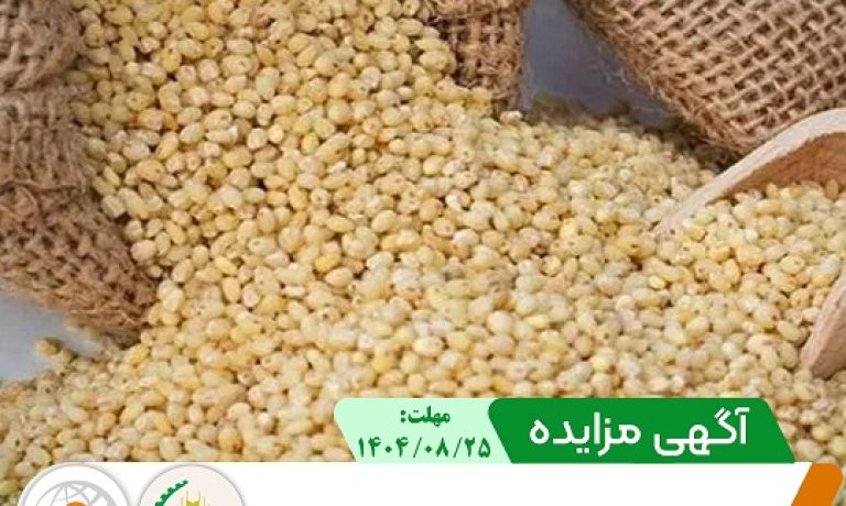 فروش ارزن در شرکت کشت و صنعت پیوند خاوران