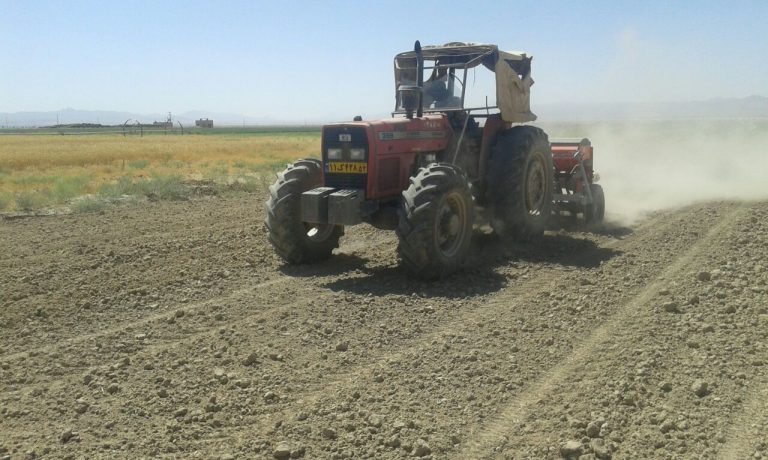 کاشت غلات در شرکت کشت و صنعت پیوند خاوران